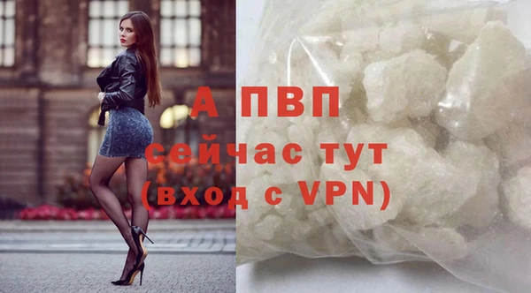 ПСИЛОЦИБИНОВЫЕ ГРИБЫ Вяземский