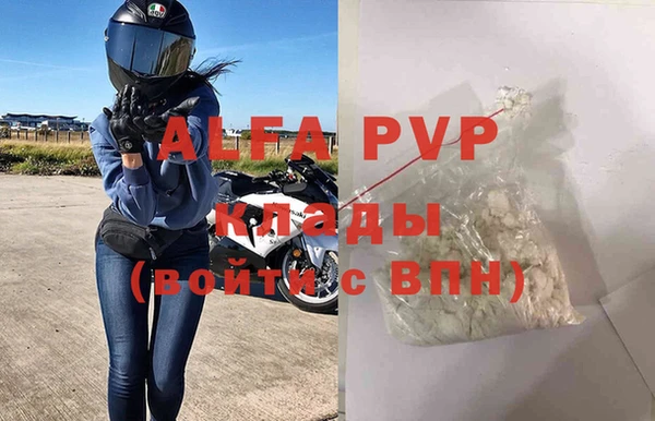 ПСИЛОЦИБИНОВЫЕ ГРИБЫ Вяземский