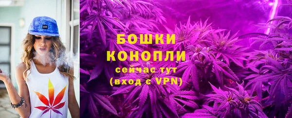 ПСИЛОЦИБИНОВЫЕ ГРИБЫ Вяземский
