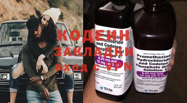 ПСИЛОЦИБИНОВЫЕ ГРИБЫ Вяземский
