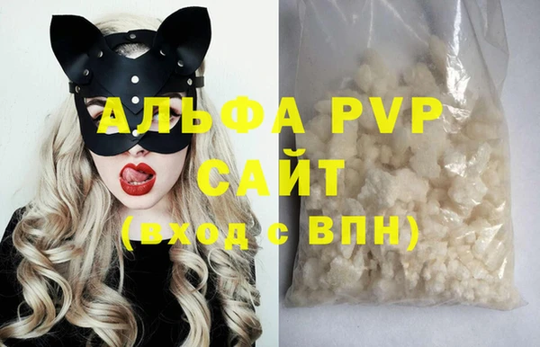 ПСИЛОЦИБИНОВЫЕ ГРИБЫ Вяземский