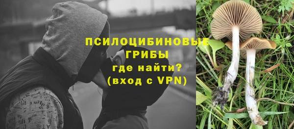 скорость Вязьма
