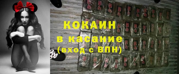 ПСИЛОЦИБИНОВЫЕ ГРИБЫ Вяземский