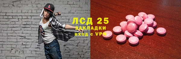 ПСИЛОЦИБИНОВЫЕ ГРИБЫ Вяземский