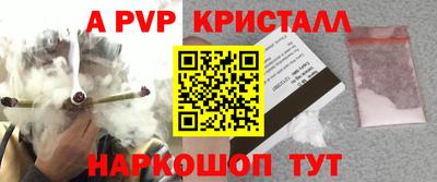 спиды Гусев
