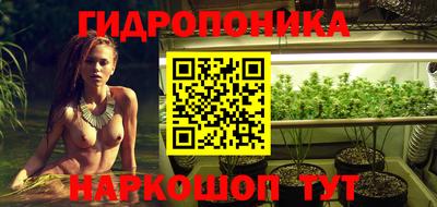 гидра Гагарин