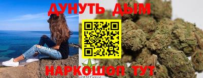 гидра Гагарин