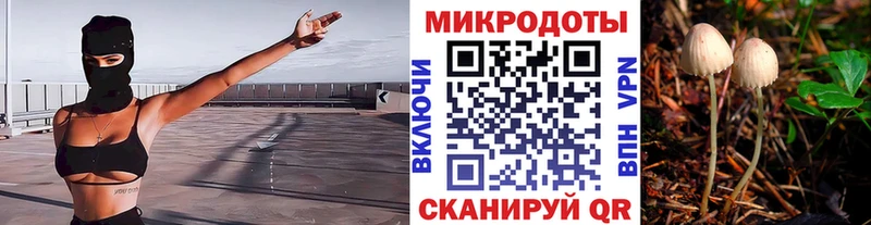 Псилоцибиновые грибы мухоморы  как найти закладки  Губкинский 