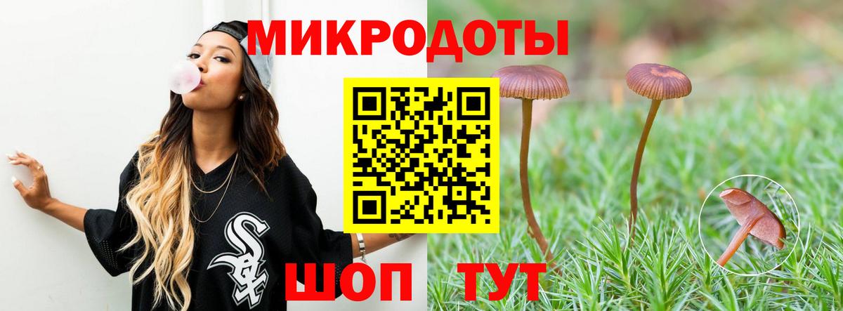 Губкинский  Галлюциногенные грибы прущие грибы  Вход с VPN 