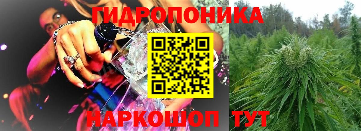 МАРИХУАНА семена  Губкинский  Канабис THC 21% 
